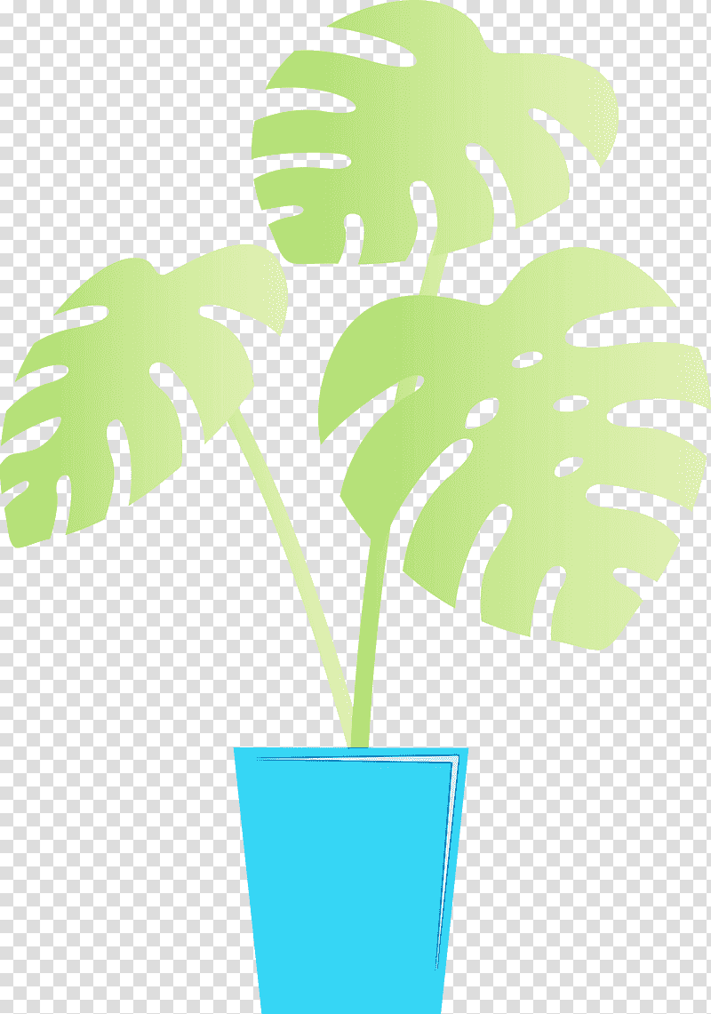 plant stem leaf tree flowerpot green, Monstera, Tropical Leaf, Watercolor, Paint, Wet Ink, Text transparent background PNG clipart
