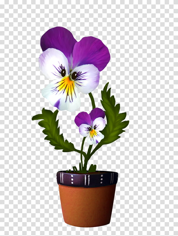 flower plant wild pansy violet pansy, Purple, Petal, Flowerpot, Violet Family, VIOLA transparent background PNG clipart