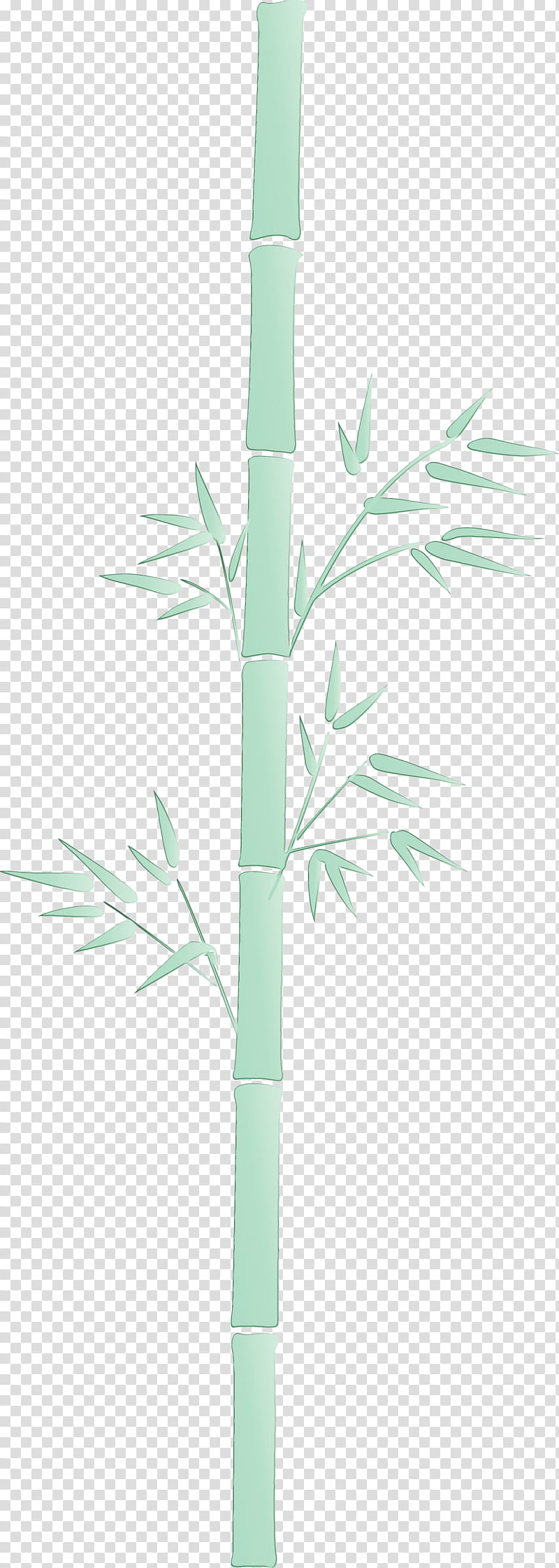 leaf plant bamboo plant stem branch, Watercolor, Paint, Wet Ink, Tree, Flower, Grass Family, Twig transparent background PNG clipart