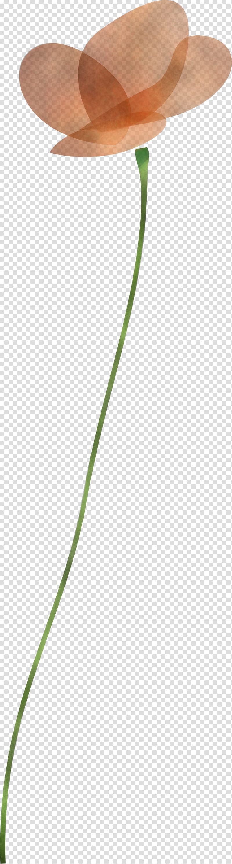 poppy flower, Green, Leaf, Plant, Grass Family, Plant Stem, Alismatales transparent background PNG clipart