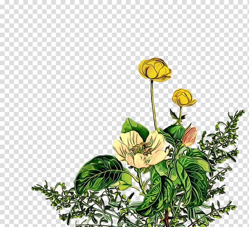 Floral design, Watercolor, Paint, Wet Ink, Plant Stem, Cut Flowers, Common Wormwood, Herbal Medicine transparent background PNG clipart