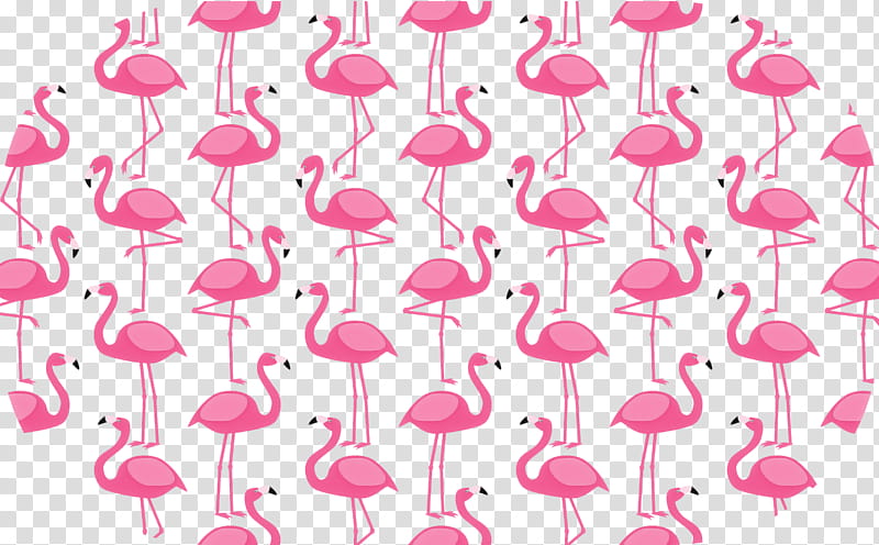 Flamingo, Plastic Flamingo, Lawn Ornament, Tropical01, Flamingo M, Statue, Lojas Americanas, Party transparent background PNG clipart