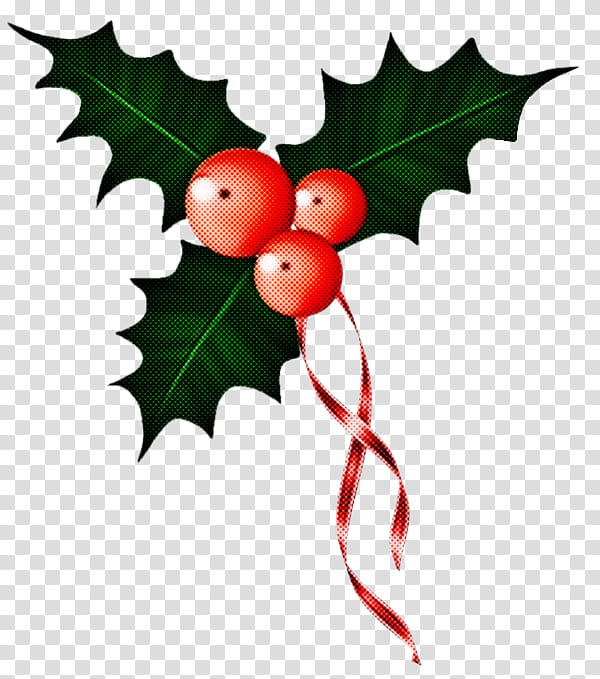 Holly, Leaf, American Holly, Plant, Tree, Plane, Branch, Flower transparent background PNG clipart