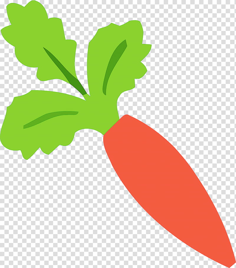 Passover Pesach, Radish, Leaf, Plant, Vegetable, Leaf Vegetable, Daikon, Logo transparent background PNG clipart