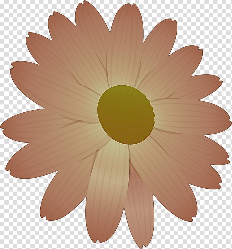 marguerite flower spring flower, Gerbera, Petal, Chamomile, Yellow, Barberton Daisy, Plant, Mayweed transparent background PNG clipart
