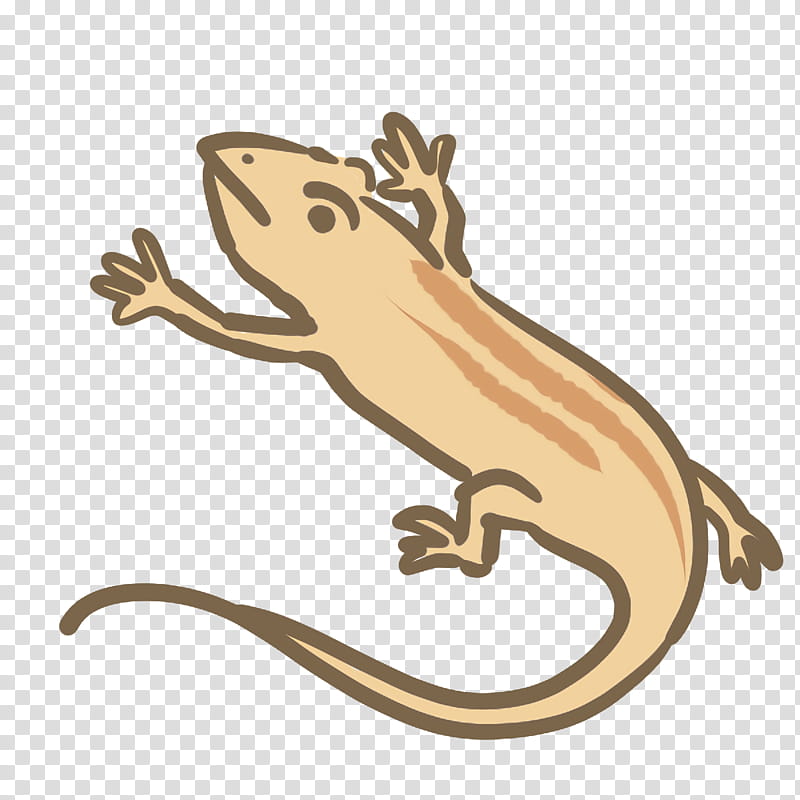 lizard animal figurine science biology transparent background PNG clipart