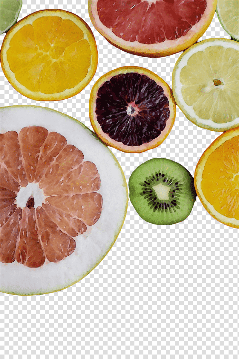 grapefruit vegetarian cuisine superfood fruit garnish, Watercolor, Paint, Wet Ink, Vegetarianism, Hahn Hotels Of Sulphur Springs Llc, Citrus transparent background PNG clipart