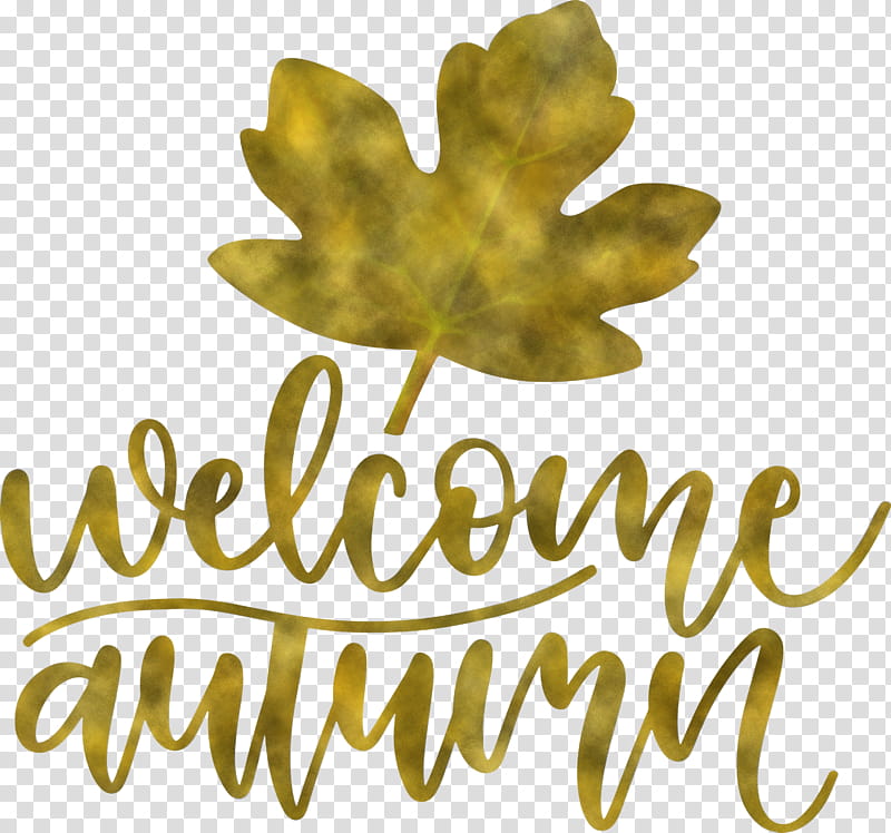 Welcome Autumn Hello Autumn Autumn Time, Leaf, Tree, Meter, Fruit, Plants, Plant Structure, Science transparent background PNG clipart