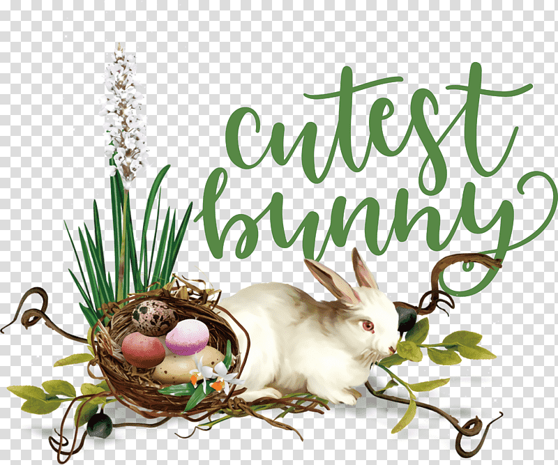 Cutest Bunny Happy Easter Easter Day, Easter Bunny, Red Easter Egg, Easter Basket, Egg Hunt, Holiday, Pysanka transparent background PNG clipart