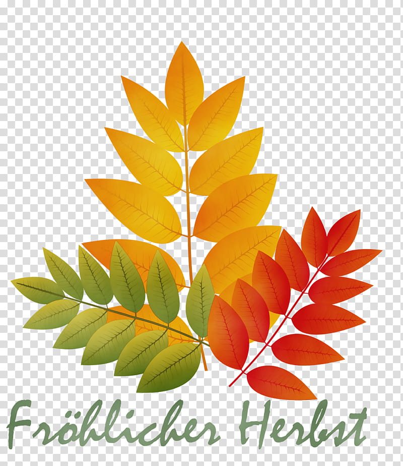 Maple leaf, Hello Autumn, Welcome Autumn, Hello Fall, Welcome Fall, Watercolor, Paint, Wet Ink transparent background PNG clipart