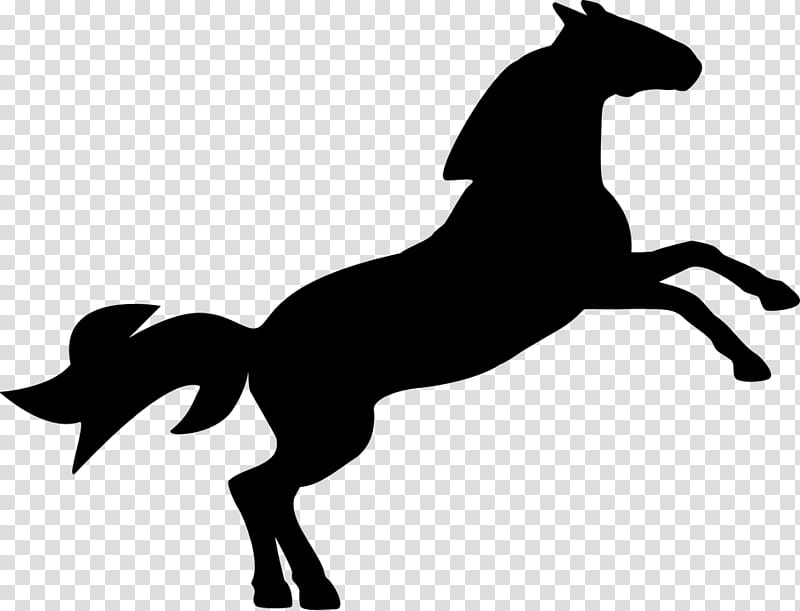 Horse Horse, Jumping, Silhouette, Show Jumping, Free Jumping, Collection, Equestrian, Mane transparent background PNG clipart