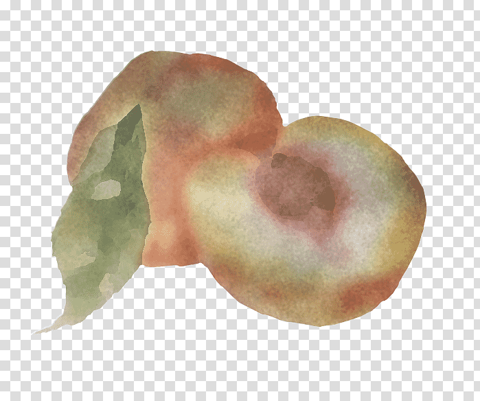 peach close-up fruit, Closeup transparent background PNG clipart