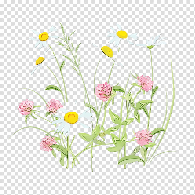 Floral design, Spring
, Watercolor, Paint, Wet Ink, Flower, Plant, Chamomile transparent background PNG clipart