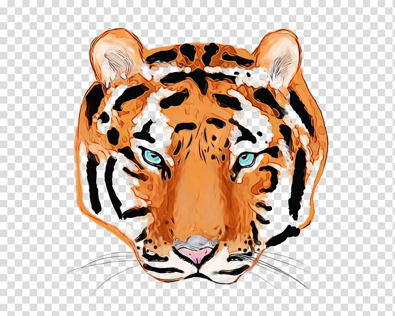 tiger whiskers cat snout wildlife, Watercolor, Paint, Wet Ink transparent background PNG clipart
