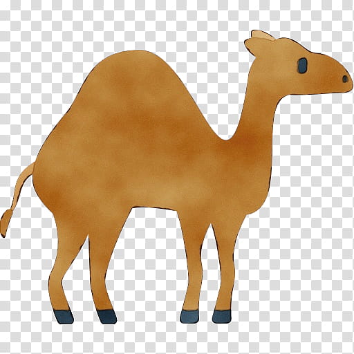 Animal, Camel, Giraffids, Neck, Meter, Animal Figure, Camelid, Toy transparent background PNG clipart