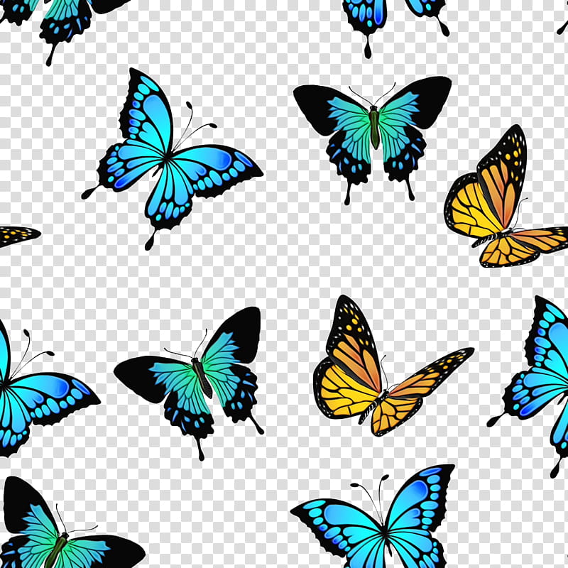 Monarch butterfly, Watercolor, Paint, Wet Ink, Brushfooted Butterflies, Symmetry, Tiger Milkweed Butterflies transparent background PNG clipart