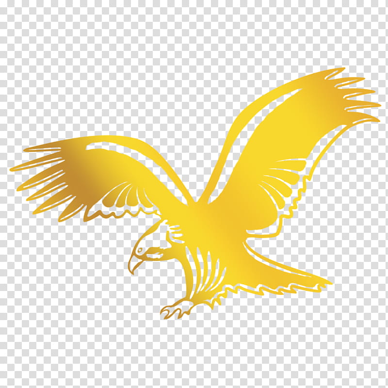 eagle wing yellow golden eagle bird, Logo, Accipitridae, Bird Of Prey, Symbol, Falconiformes, Hawk transparent background PNG clipart