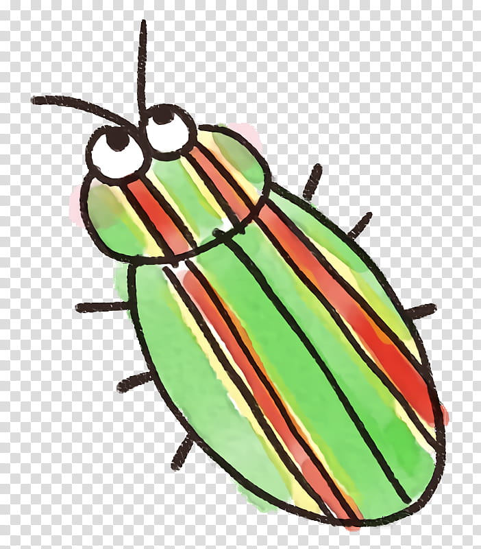insect jewel bugs jewel beetles blister beetles transparent background PNG clipart