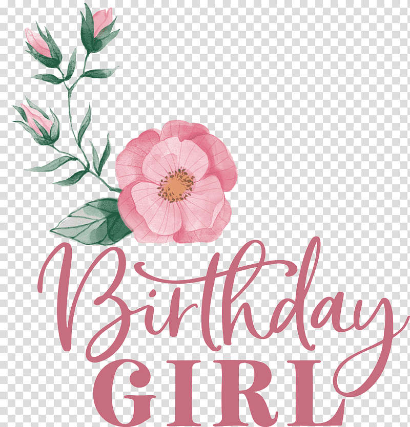 Birthday girl Birthday, Birthday
, Floral Design, Herbaceous Plant, Cut Flowers, Rose Family, Petal transparent background PNG clipart