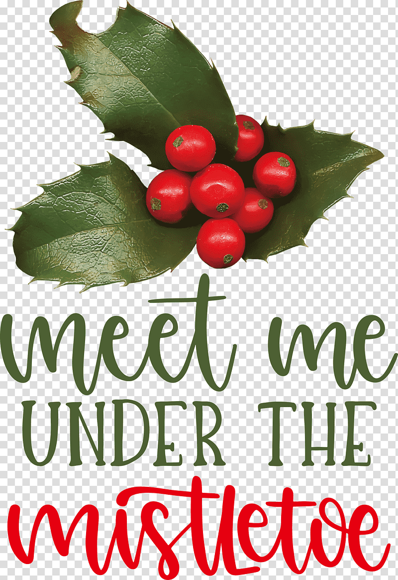 Meet Me Under The Mistletoe Mistletoe, Holly, Superfood, Natural Food, Local Food, Meter, Fruit transparent background PNG clipart