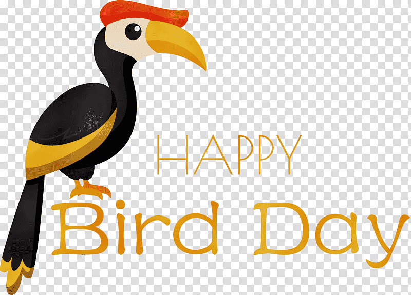 birds toucans hornbill beak logo, Bird Day, National Bird Day, Watercolor, Paint, Wet Ink, Meter transparent background PNG clipart