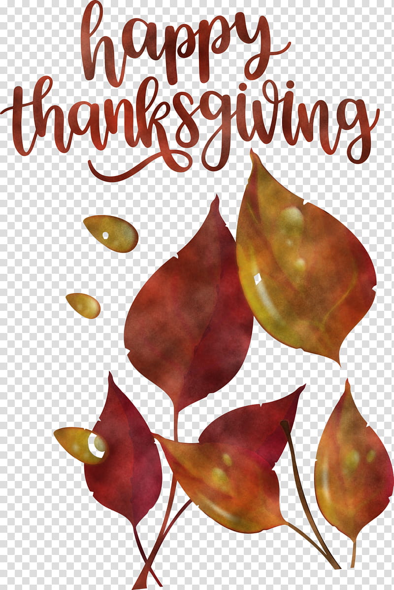 Happy Thanksgiving Autumn Fall, Happy Thanksgiving , Leaf, Text, Plants, Science, Plant Structure, Biology transparent background PNG clipart