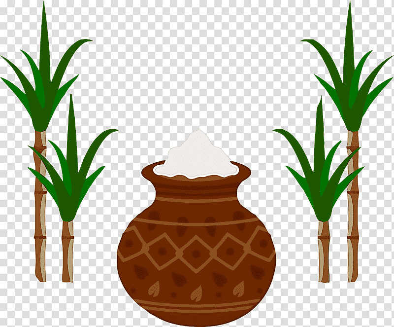 pongal, Palm Trees, Flowerpot, Houseplant, Sugar, Plants transparent background PNG clipart