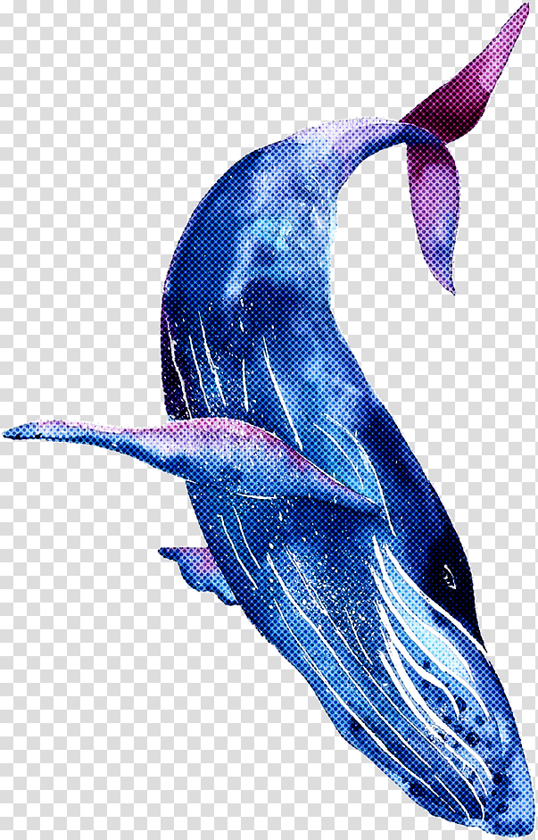 wholphin short-beaked common dolphin rough-toothed dolphin dolphin cetaceans, Shortbeaked Common Dolphin, Roughtoothed Dolphin, Longbeaked Common Dolphin, Bottlenose Dolphin transparent background PNG clipart
