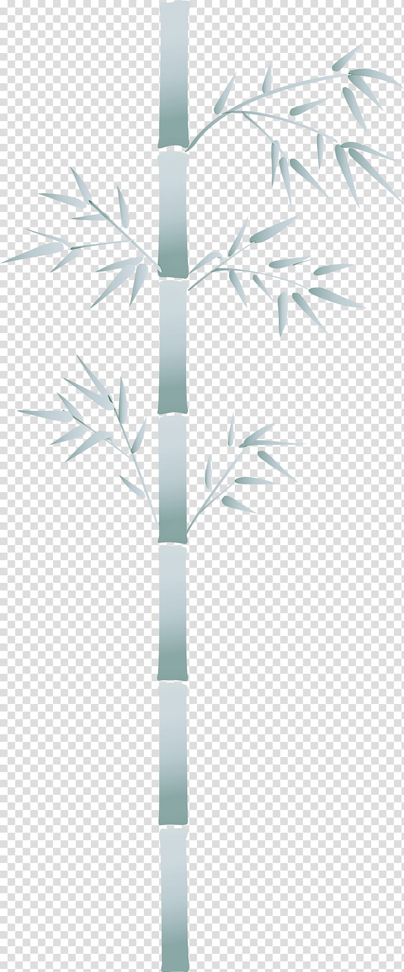 bamboo leaf, Tree, Plant Stem, Branch, Grass, Flower, Twig transparent background PNG clipart