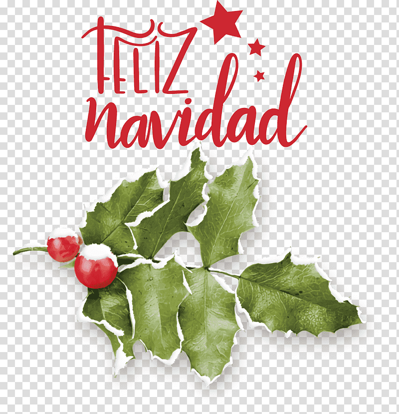 Feliz Navidad Merry Christmas, Common Holly, Branch, Leaf, Pomegranate, Grape Leaves, Watercolor Painting transparent background PNG clipart