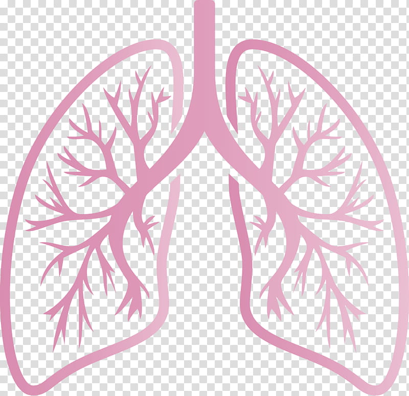lungs COVID Corona Virus Disease, Pink, Leaf, Tree, Symmetry, Plant, Wing transparent background PNG clipart