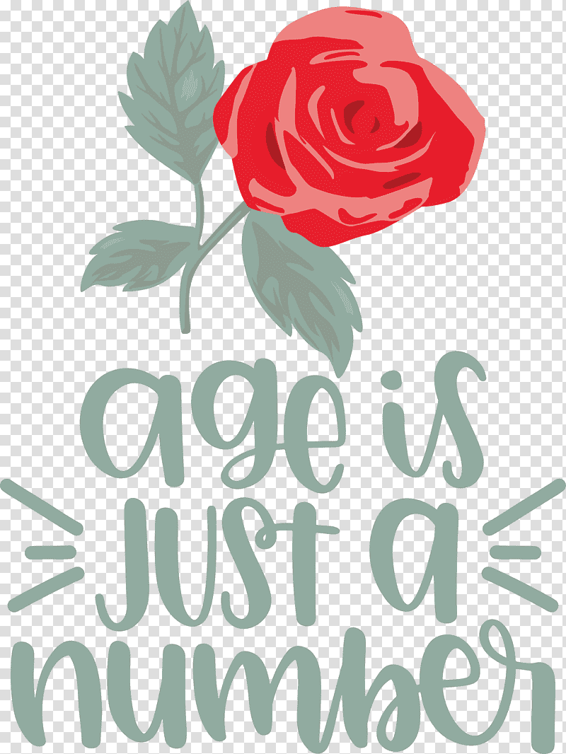 Birthday Age Is Just A Number, Birthday
, Floral Design, Garden Roses, Cut Flowers, Petal, Rose Family transparent background PNG clipart