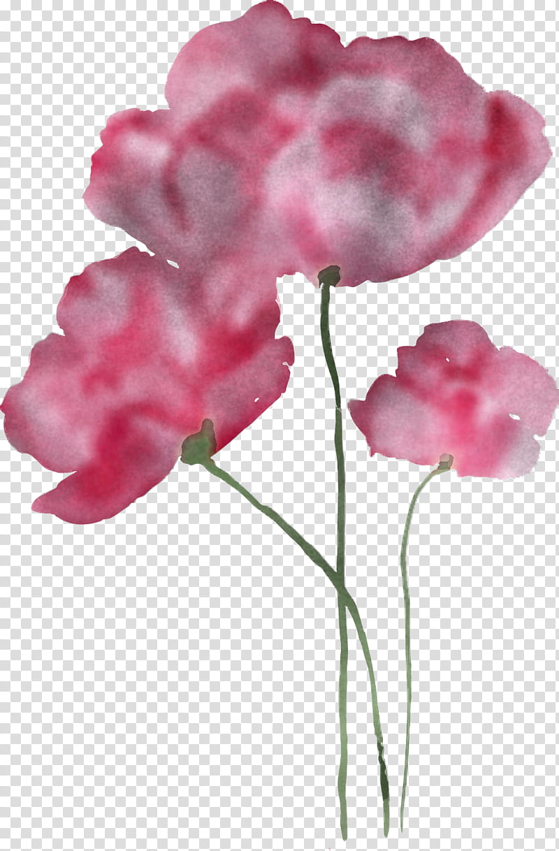 Artificial flower, Petal, Cut Flowers, Carnation, Plant Stem, Pink Flowers, Peony, Common Peony transparent background PNG clipart