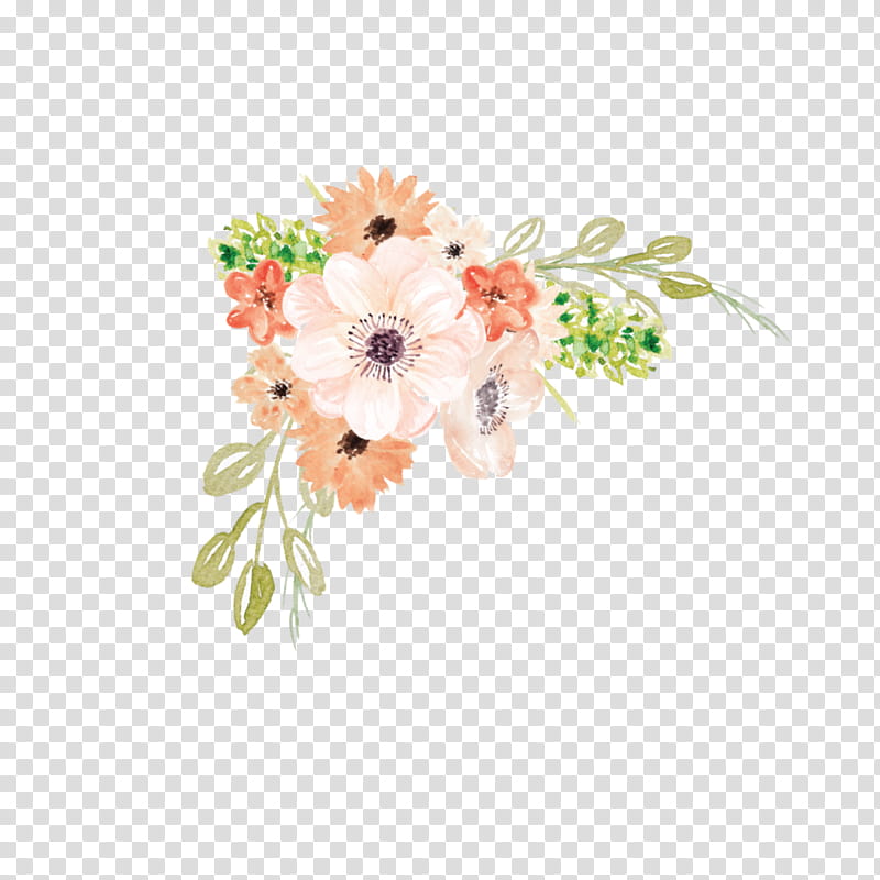 Floral design, Flower, Cut Flowers, Plant, Gerbera, Bouquet, Wildflower, Anemone transparent background PNG clipart