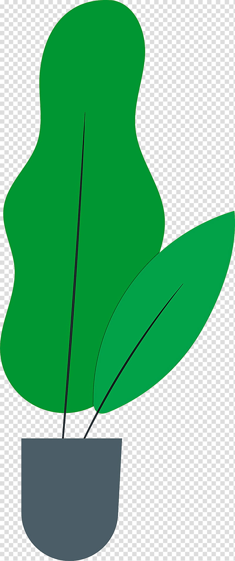 leaf plant stem flower branch petal, Tulip, Tree, Green, Fig Trees, Plant Structure, Plants, Biology transparent background PNG clipart
