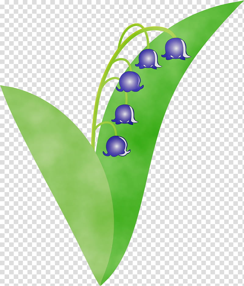 leaf green plant, Lily Bell, Flower, Watercolor, Paint, Wet Ink transparent background PNG clipart
