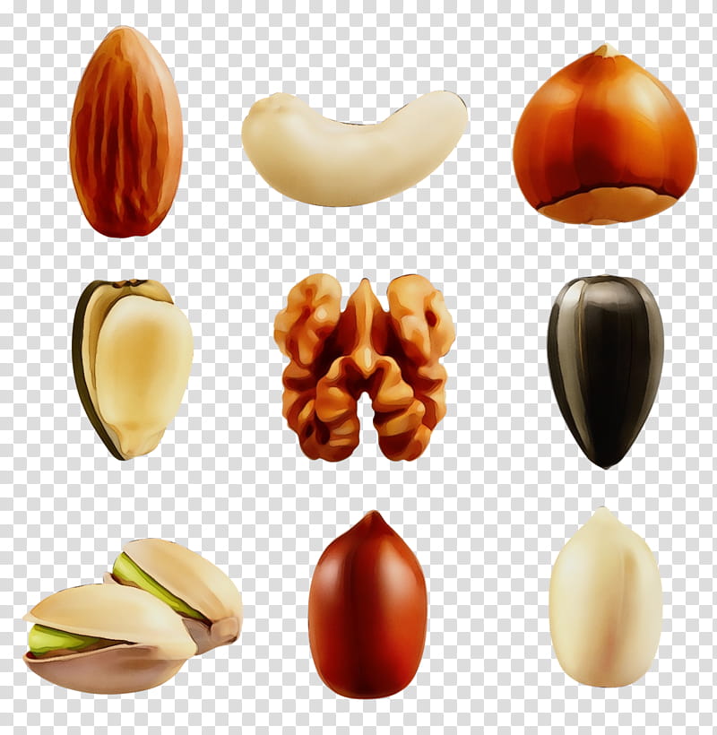 nut nuts & seeds almond legume food, Watercolor, Paint, Wet Ink, Nuts Seeds, Plant, Bean transparent background PNG clipart