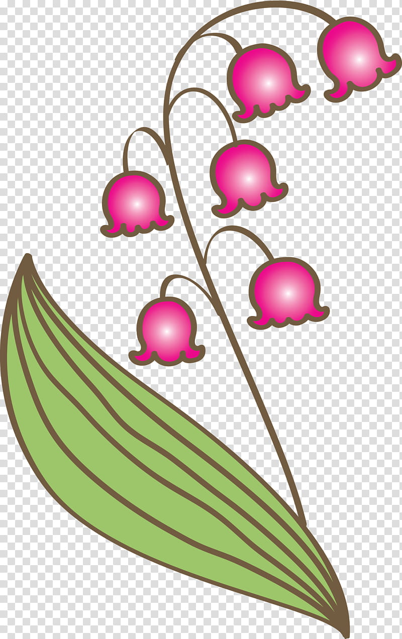 Lily Bell Flower Leaf Pink Plant Magenta Transparent Background Png Clipart Hiclipart