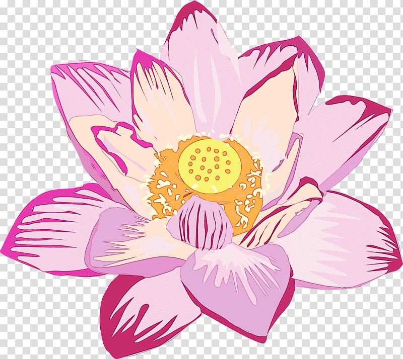 Floral design, Watercolor, Paint, Wet Ink, Petal, Flower, Nelumbonaceae transparent background PNG clipart