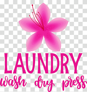Laundry Wash Dry, Press, Herbaceous Plant, Cut Flowers, Petal, Lilac M, Meter transparent background PNG clipart thumbnail