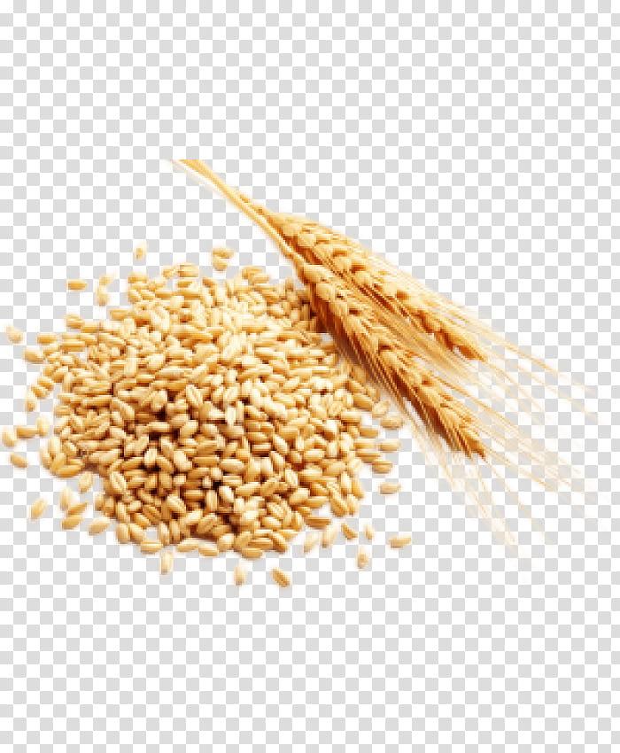 Wheat, Food, Grain, Whole Grain, Malt, Grass Family, Groat, Ingredient transparent background PNG clipart