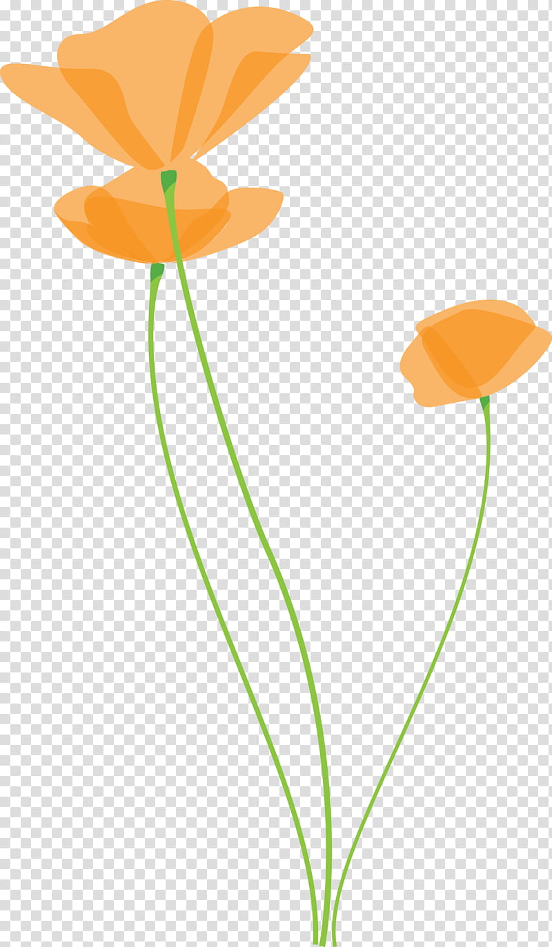 poppy flower, Orange, Plant, Plant Stem, Pedicel, Leaf, Petal, Poppy Family transparent background PNG clipart