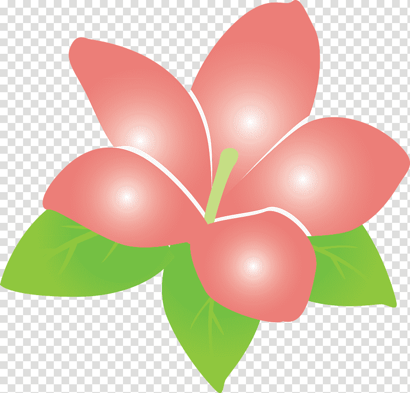 jasmine jasmine flower, Petal, Pollinator, Leaf, Pollination, Heart, Biology transparent background PNG clipart