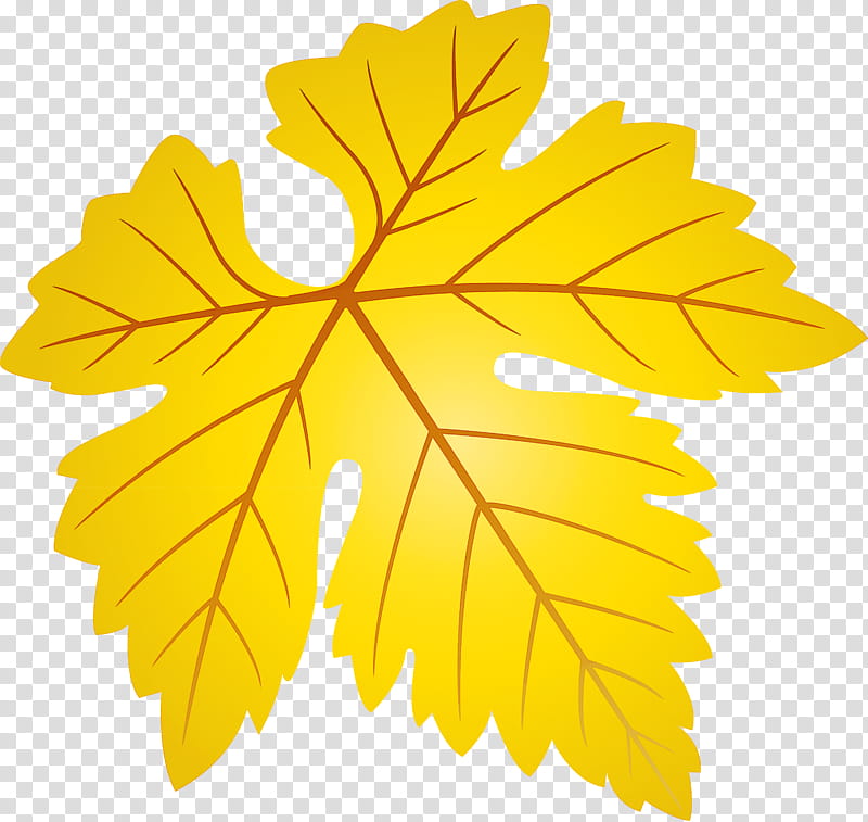 Grapes Leaf leaf, Tree, Yellow, Maple Leaf, Black Maple, Plant, Woody Plant, Plane transparent background PNG clipart