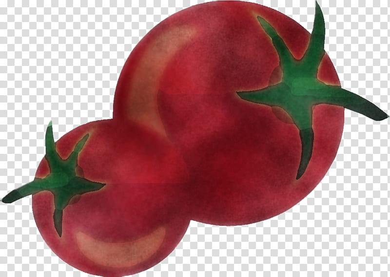 Tomato, Red, Fruit, Plant, Vegetable, Solanum, Nightshade Family, Food transparent background PNG clipart