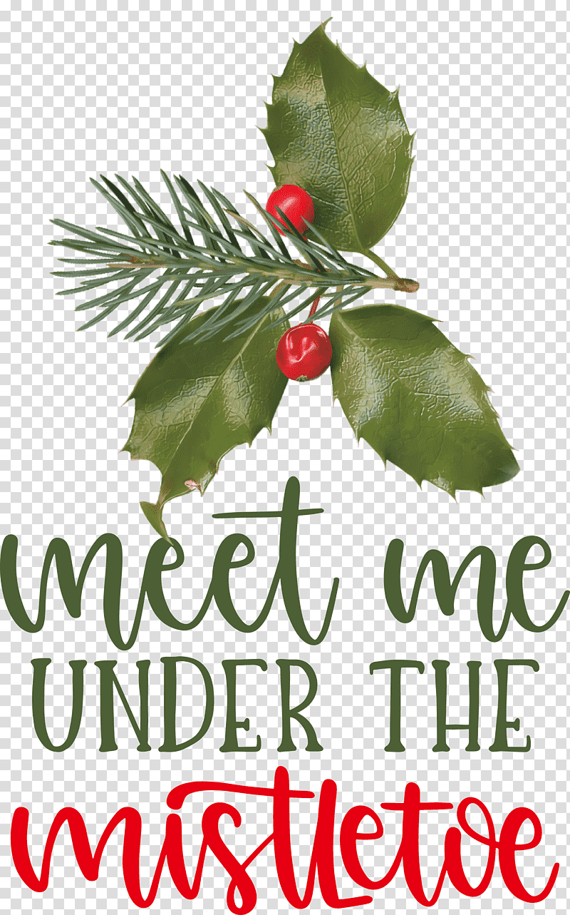 Meet Me Under The Mistletoe Mistletoe, Holly, Aquifoliales, Christmas Day, Christmas Ornament M, Meter, Superfood transparent background PNG clipart