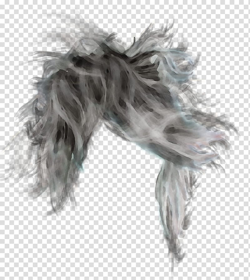 Feather, Watercolor, Paint, Wet Ink, Hair, White, Silver, Long Hair transparent background PNG clipart