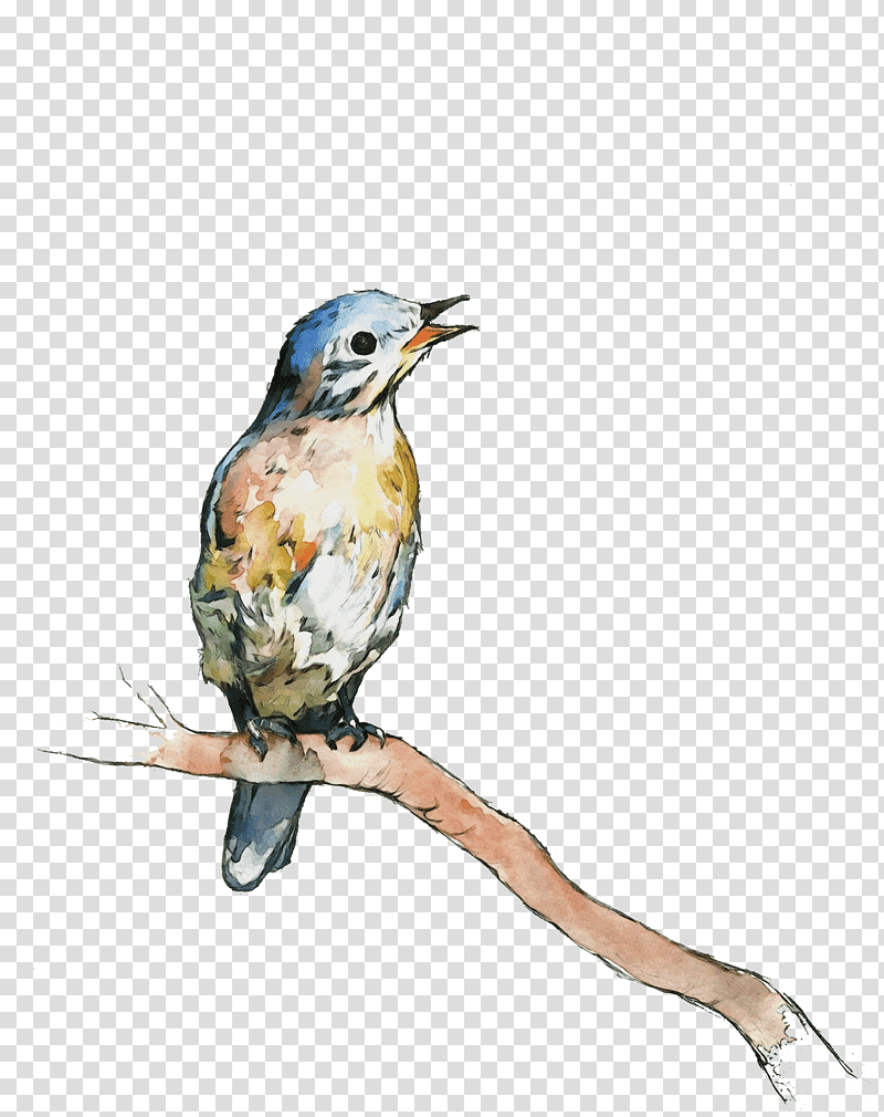 Hummingbird, Watercolor, Paint, Wet Ink, Watercolor Paint, Beak, Coraciiformes transparent background PNG clipart Hummingbird, Watercolor, Paint, Wet Ink, Watercolor Paint, Beak, Coraciiformes transparent background PNG clipart
