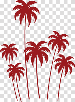 Palm trees, Leaf, Plant Stem, Flower, Petal, Line, Arecales transparent background PNG clipart thumbnail
