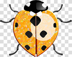 insect yellow beetle transparent background PNG clipart thumbnail